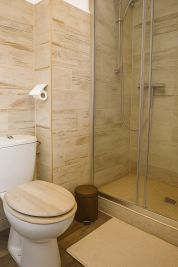 Maison principale-salle de bain-suite parentale